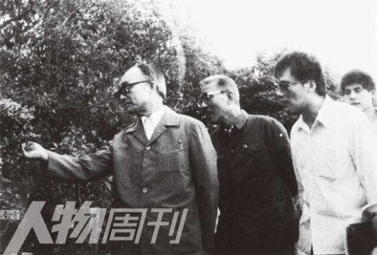 王岐山（右二）、王小强（右一）陪同杜润生到农村调查.png